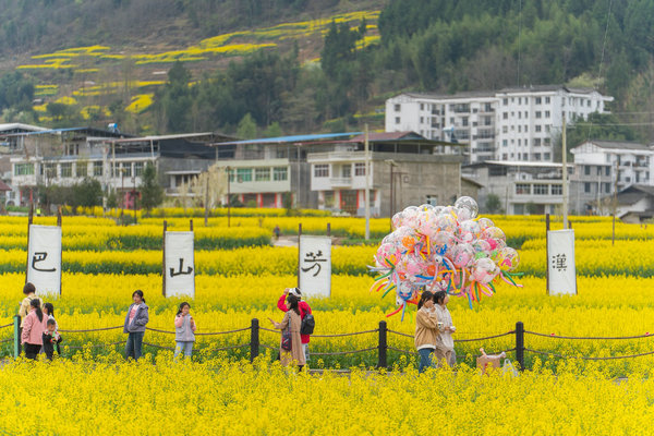 春花盛事,震撼巴山 | 2024最美油菜花海汉中旅游文化节镇巴分会场活动隆重举行 - 旅游焦点 - 新闻资讯 - 航空旅游网