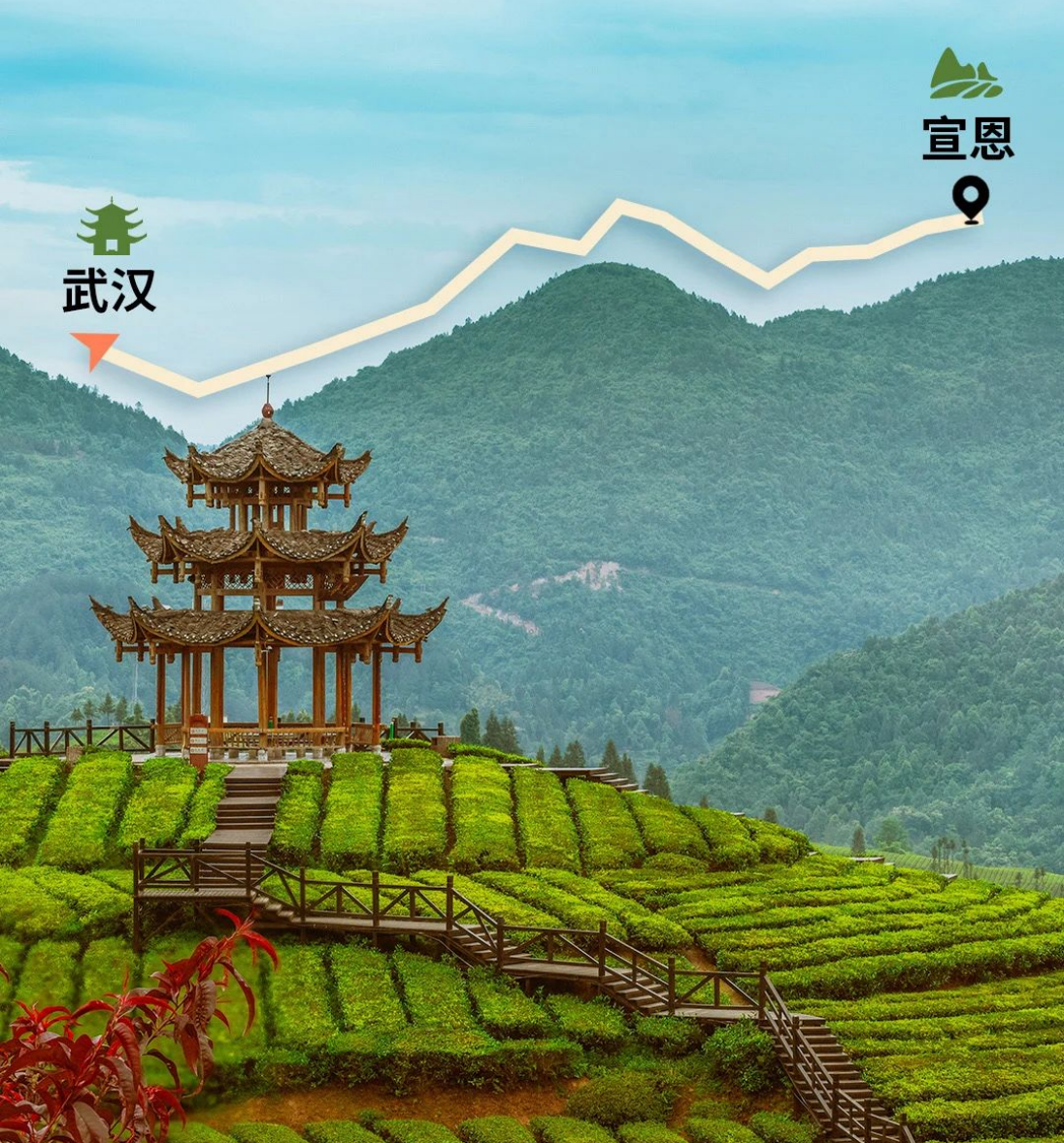图片17.png