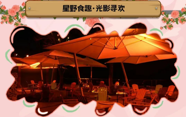 第12届宝山蔷薇艺术生活季盛大启幕 以花为媒、以艺兴村，重构乡村美学新场景
